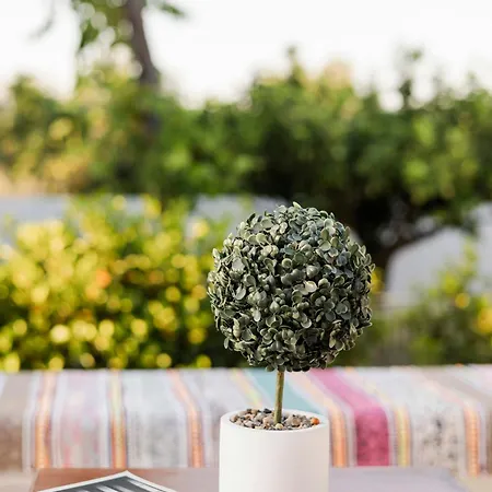 Angelina Casa de Férias Afantou