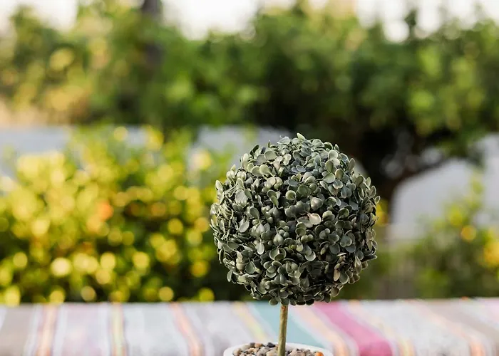 Angelina Сasa de vacaciones Afantou